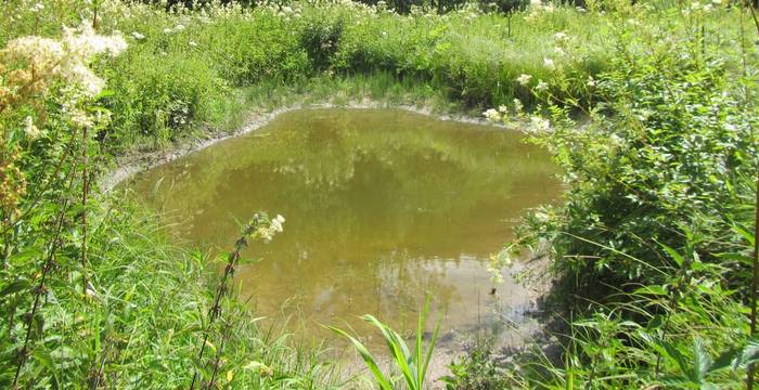 Etangs aux Goudebas