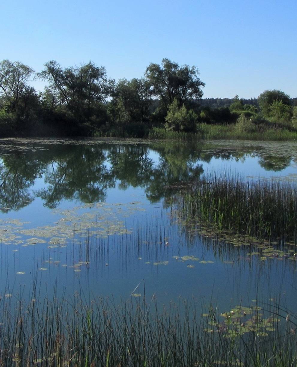 Etangs de Pôlière