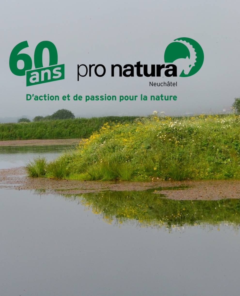 Brot Plamboz 60 ans