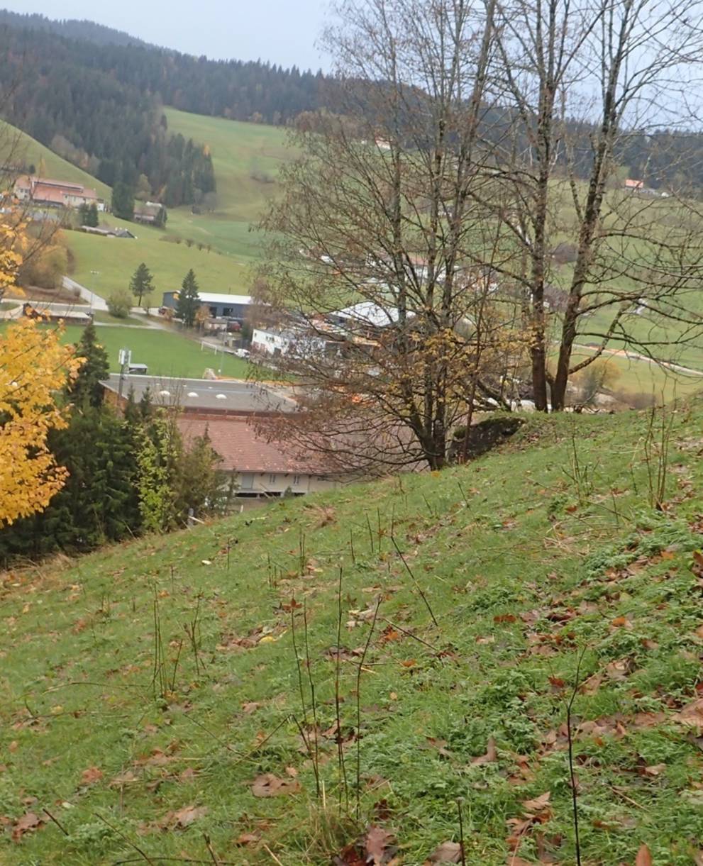 Parcelle au Locle
