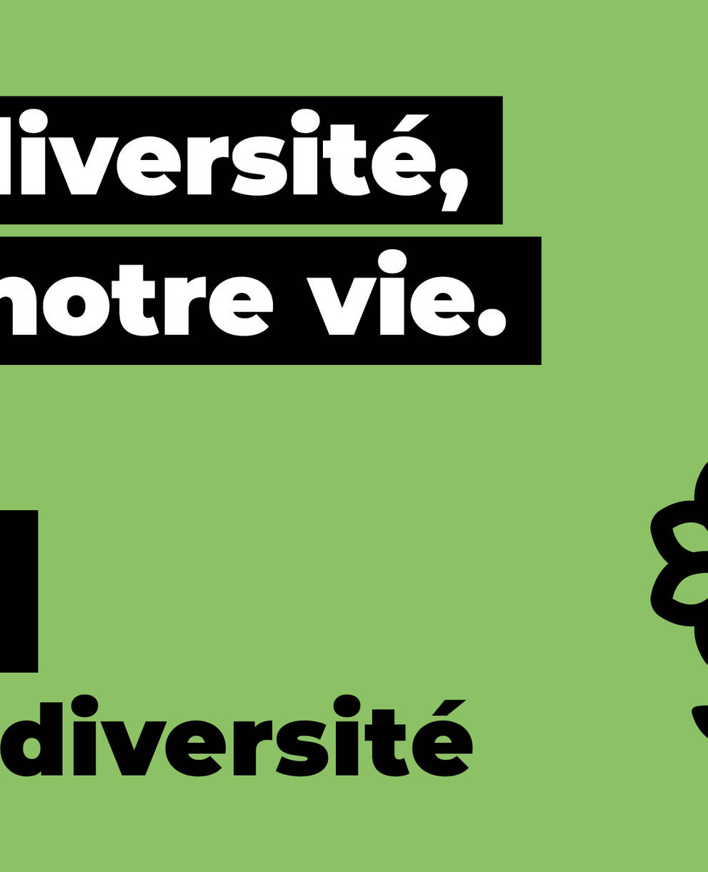 Initiative biodiversité